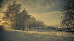 Landscapes nature Trees snow winter light bench hoarfrost 