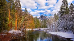 Landscapes nature Trees snow winter Mountains clouds California 