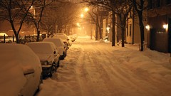 Landscapes nature Trees snow winter night cars roads streets 