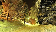 Landscapes nature Trees snow winter night roads forests lamp 