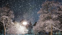 Landscapes nature Trees snow winter night Stars lamp posts