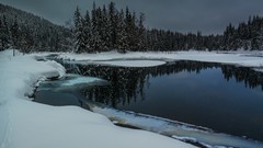 Landscapes nature Trees snow winter night water cold white ice 