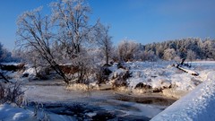 Landscapes nature Trees snow winter white Frozen lithuania 