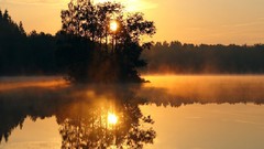 Landscapes nature Trees summer