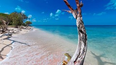 Landscapes nature Trees Turquoise Beaches caribbean Emerald Bay