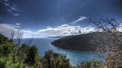 Landscapes nature Trees water blue clouds ocean hills Green 