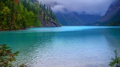 Landscapes nature Trees water clouds Canada British Columbia 