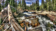 Landscapes nature Trees water clouds Green castle forests HDR 