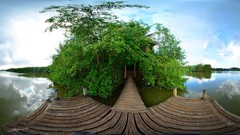 Landscapes nature Trees water clouds ocean white Green Plants 