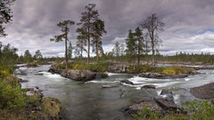 Landscapes nature Trees water clouds rivers forests rapids