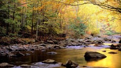 Landscapes nature Trees water lakes reflections golden national 