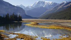 Landscapes nature Trees water Mountains rivers swamps wildlife