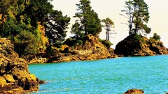 Landscapes nature Trees water ocean Green rocks Beaches chile 