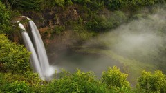 Landscapes nature Trees water white Green Plants lagoon 