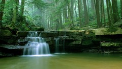 Landscapes nature Trees water white Green waterfalls forests 
