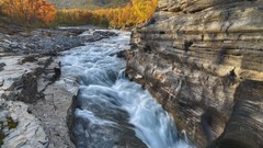 Landscapes nature Trees waterfalls sweden rocks rivers abisko 