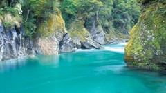 Landscapes nature Trees yellow blue Green moss grove rocks 