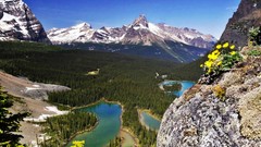 Landscapes nature Trees yellow snow water Mountains white Green 