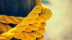 Landscapes nature Trees yellow sun summer beam lamppost Ropes 