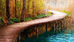 Landscapes nature Trees yellow water blue Green Plants lakes 