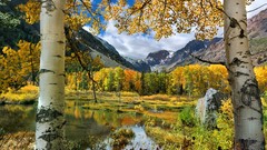 Landscapes nature Trees yellow water blue Mountains clouds 