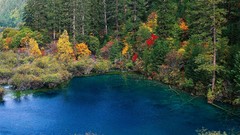 Landscapes nature Trees yellow water blue red Green China 