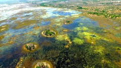 Landscapes nature Trees yellow water blue white Green Islands 