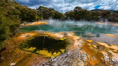 Landscapes nature Trees yellow water clouds Green New Zealand 