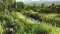 Landscapes nature Trees yellow water hills Green Plants germany 