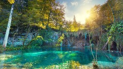 Landscapes nature Trees yellow water sun Green Turquoise 