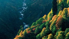 Landscapes nature Turkey Rize