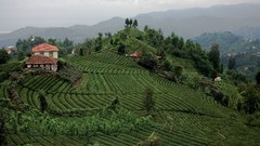 Landscapes nature Turkey Villages Rize
