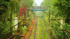 Landscapes nature vegetation tram Poland wires trains