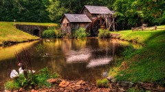 Landscapes nature water Ducks farm Tankers