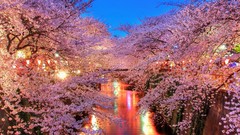 Landscapes nature water evening sakura channel oriental Sakurai 
