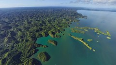 Landscapes nature water ocean Green Islands caribbean Evergreen