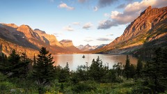 Landscapes nature Wild goose forests