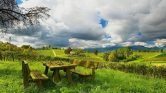 Landscapes nature wind fields Evergreen