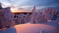 Landscapes nature winter snow