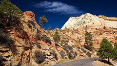Landscapes nature Zion National Park