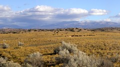 Landscapes new mexico