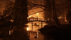 Landscapes night dark Japanese gardens Wrocław