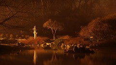 Landscapes night dark Japanese gardens Wrocław