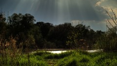 Landscapes Poland rivers forests HDR Photography Wrocław