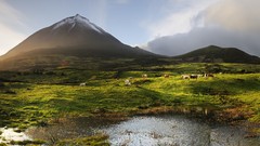 Landscapes Portugal Azores Pico