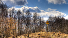 Landscapes radiation symbol nature