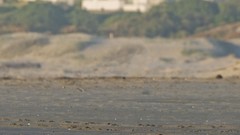 Landscapes sand balls light Beaches playing kicking