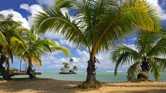 Landscapes sand nature Trees grass water ocean Hawaii Parks 