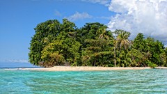 Landscapes sand nature Trees water blue clouds ocean white 