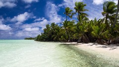 Landscapes sand Sea nature Trees water blue clouds summer white 